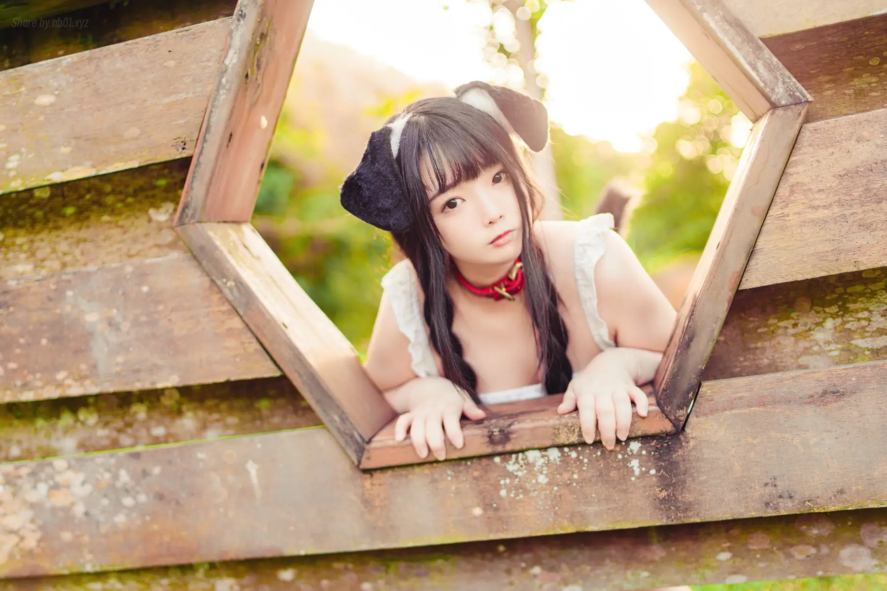 落落Raku - Your Puppy!(49P_141.9M) - 落落Raku - Your Puppy!(49P_141