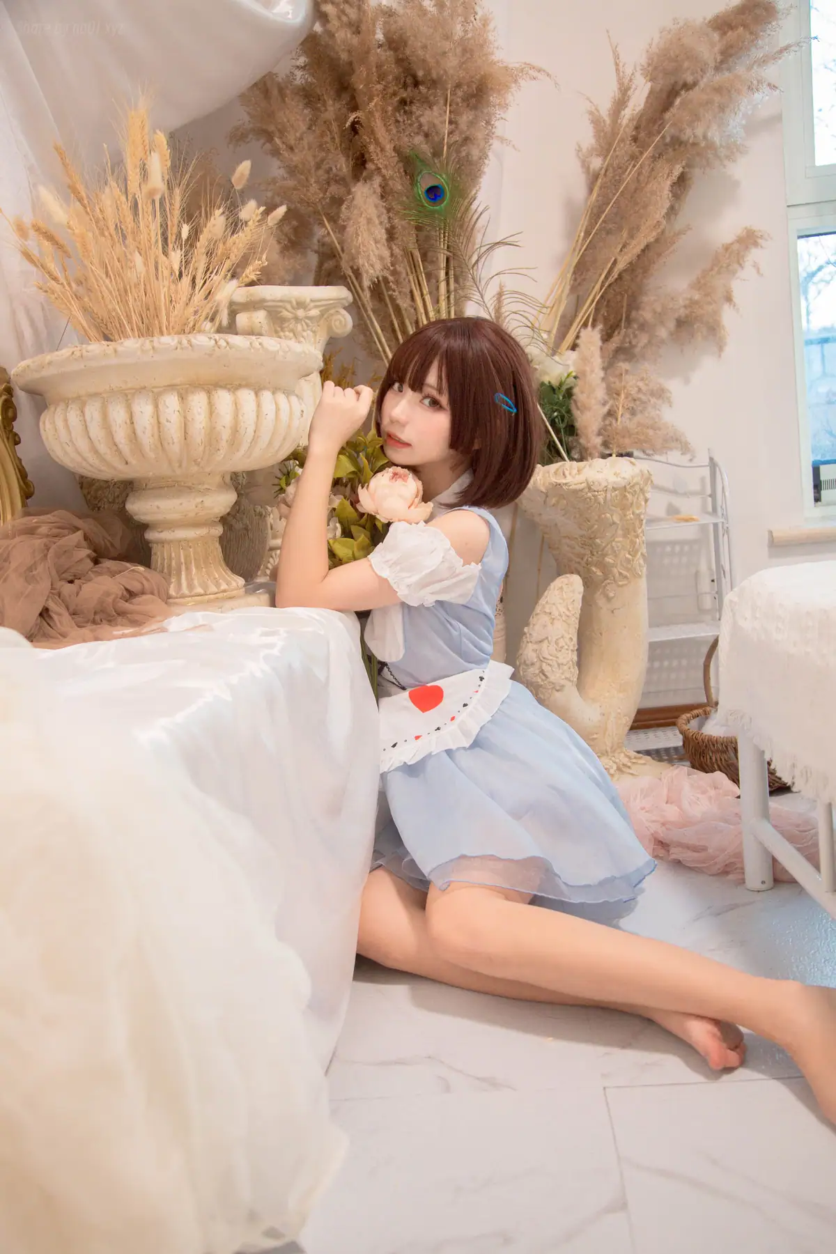 花柒Hana - 爱丽丝(9P_19.0M) - 花柒Hana - 爱丽丝(9P_19