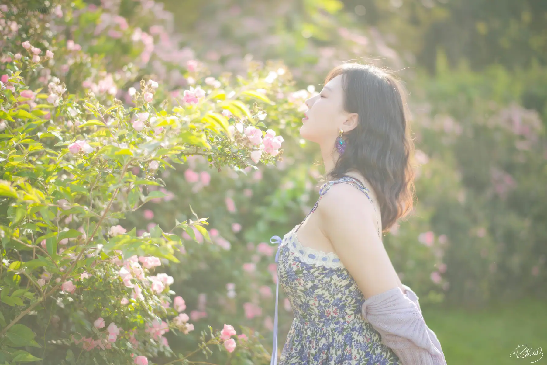 皮皮奶可可爱了啦 - 蔷薇花(36P_80.3M) 皮皮奶可可爱了啦 - 蔷薇花(36P_80.3M)_nb01.xyz_0013 图片6