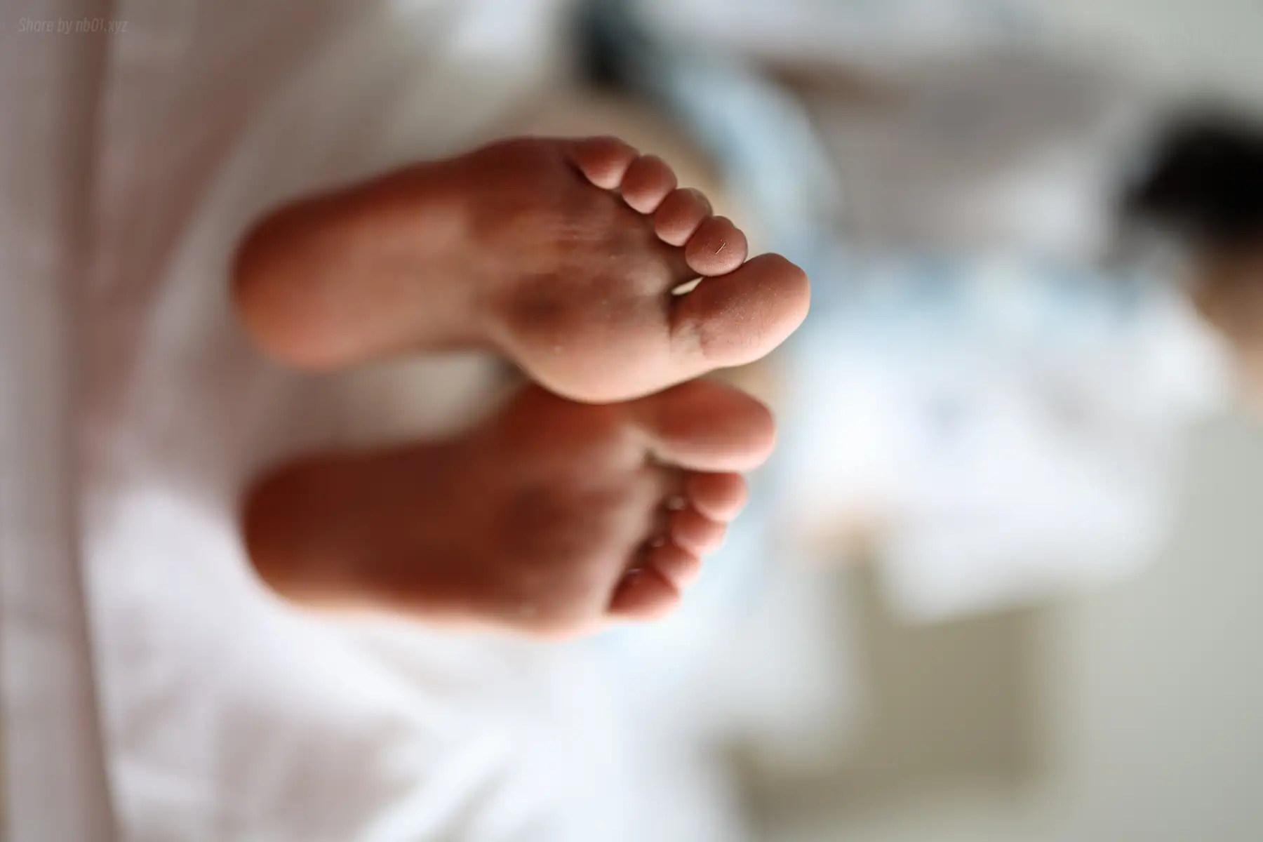 [三禾摄影]No.005 肉丝大腿袜(183P_163.9M) [三禾摄影]No.005 肉丝大腿袜(183P_163.9M)_nb01.xyz_0073 图片5