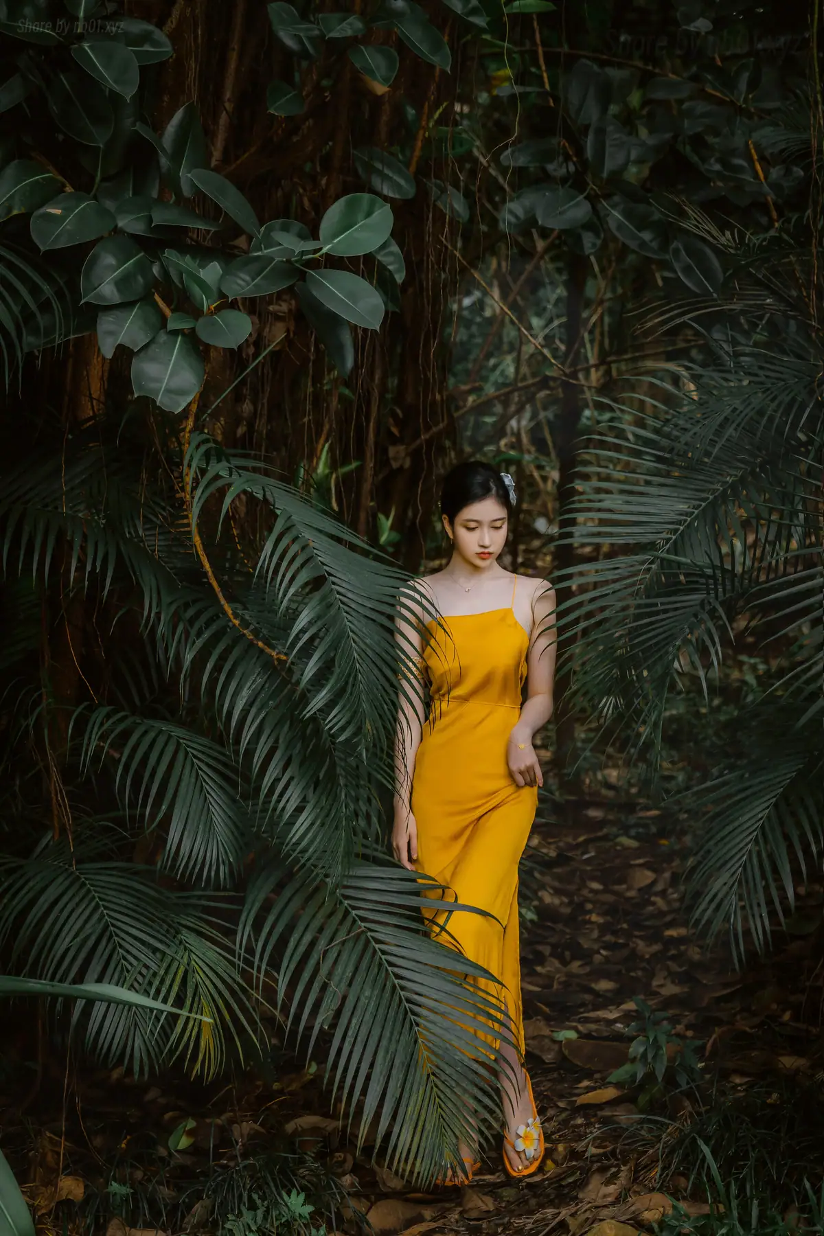 年年Nnian - 蒹葭(36P_66.0M) 年年Nnian - 蒹葭(36P_66.0M)_nb01.xyz_0001