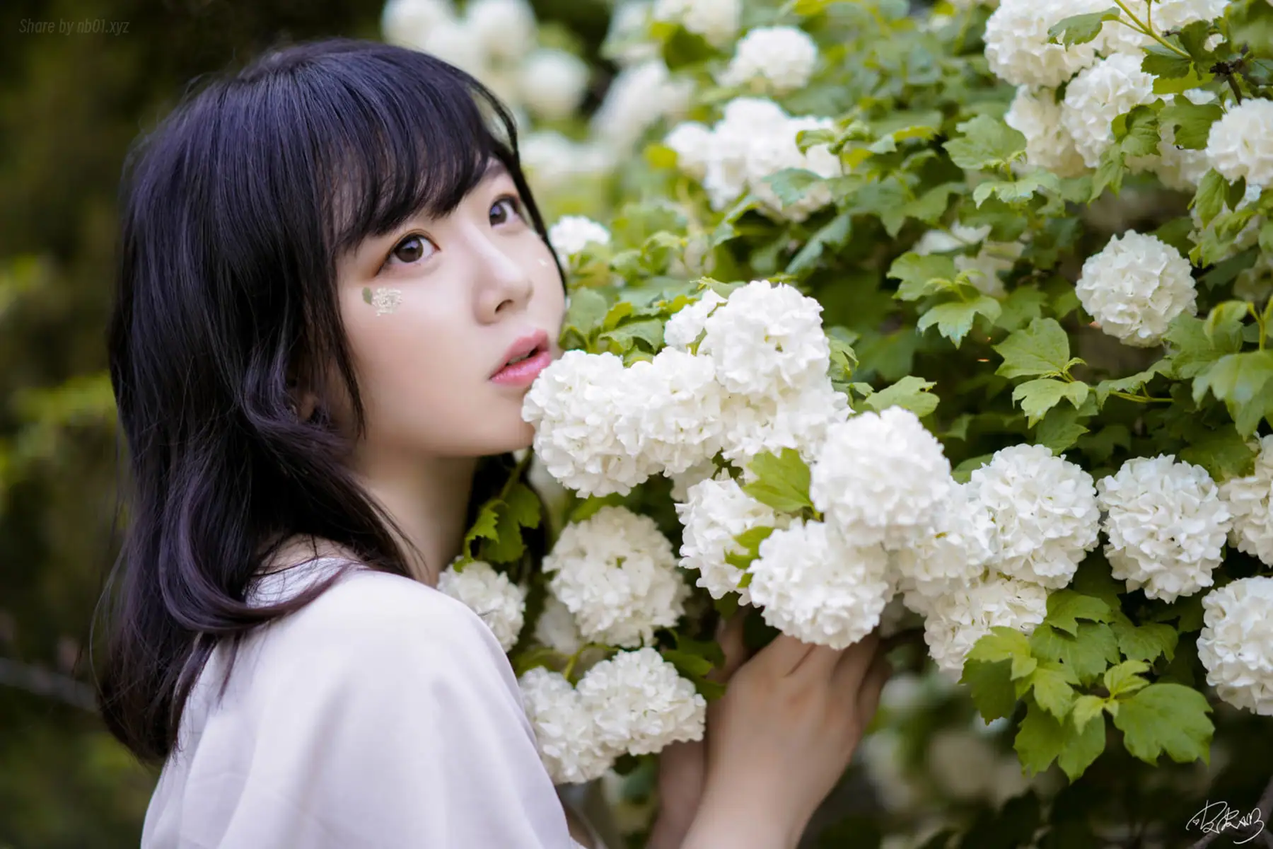 皮皮奶可可爱了啦 - 绣球花(36P_99.6M) 皮皮奶可可爱了啦 - 绣球花(36P_99.6M)_nb01.xyz_0005 图片2