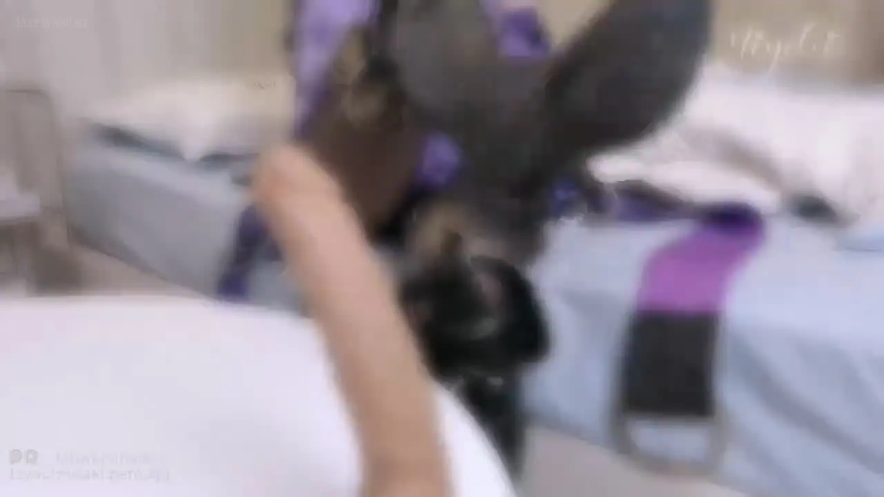 铃木美咲(Misaki Suzuki) - 崩铁 黑天鹅(5P+1V_114.2M) 铃木美咲(Misaki Suzuki) - 崩铁 黑天鹅(5P+1V_114.2M)_nb01.xyz_0002 图片2