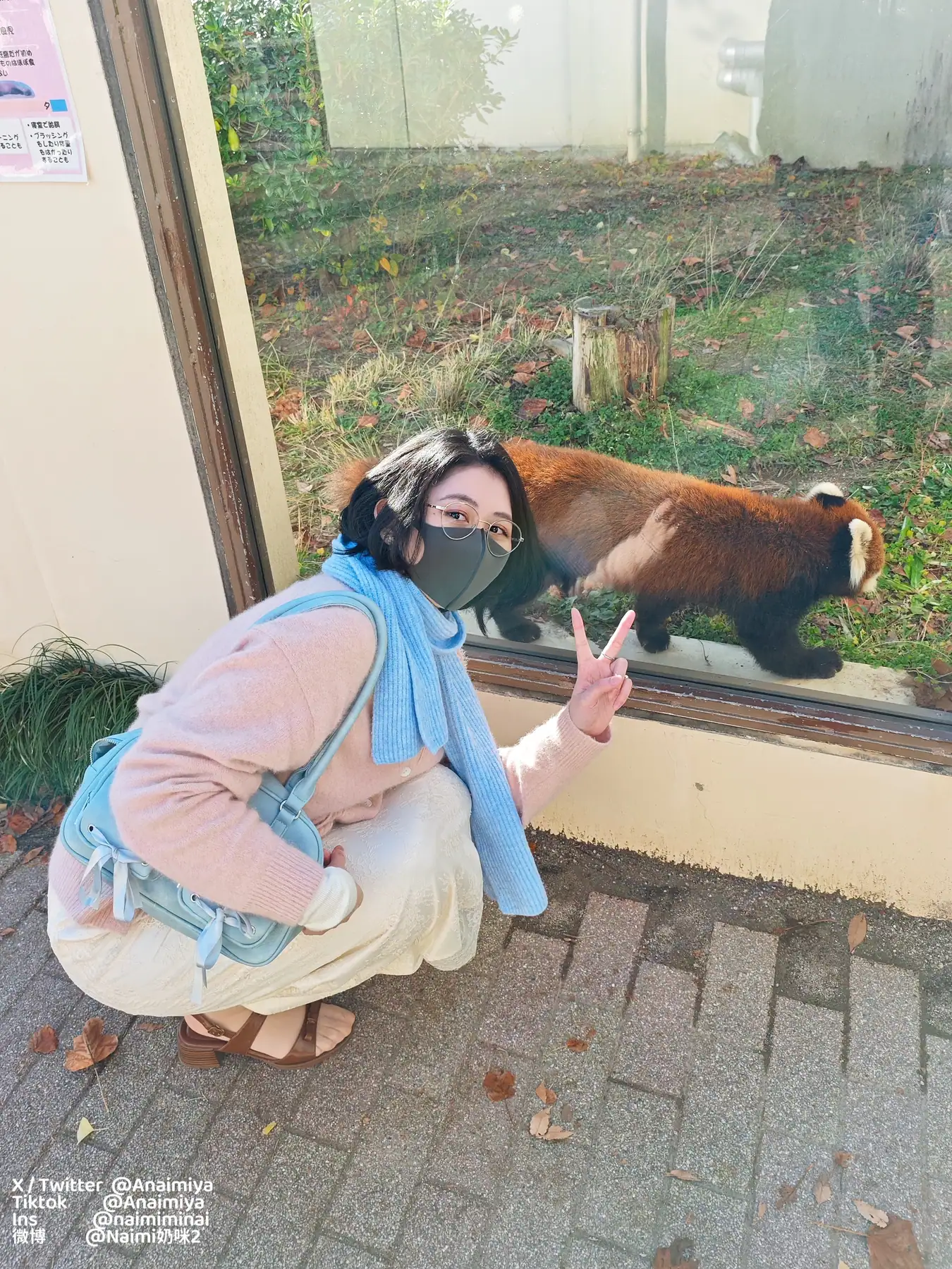 奶咪(@anaimiya) - 2025-12月订阅_日常(22P+2V_2.3G) 奶咪(@anaimiya) - 2025-12月订阅_日常(22P+2V_2.3G)_MEITU_20251226_211034824_batch_12_17...