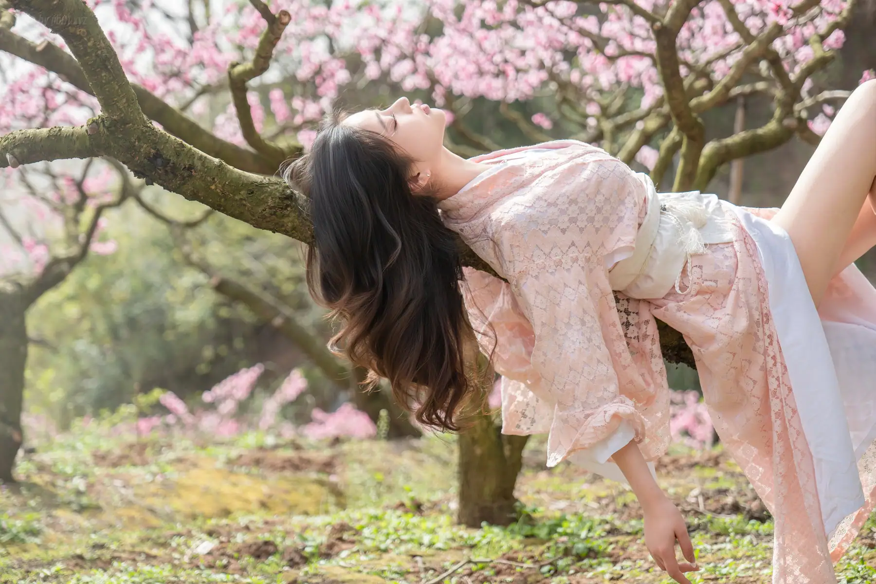 年年Nnian - 漫花(86P_369.9M) 年年Nnian - 漫花(86P_369.9M)_nb01.xyz_0030 图片2